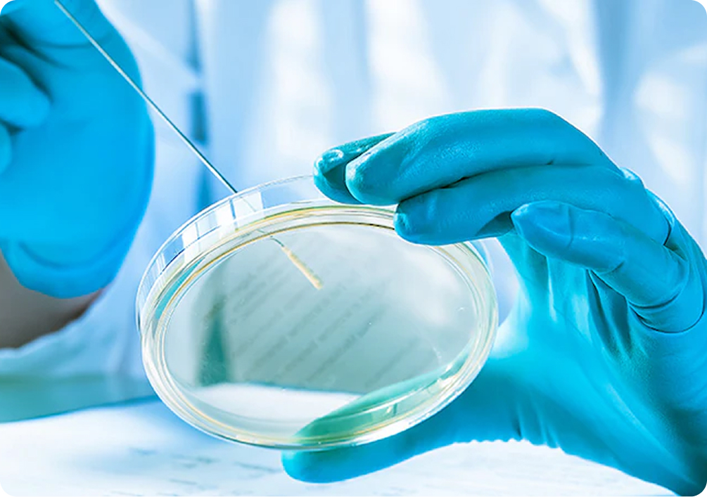 Система менеджмента качества