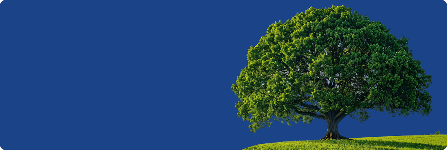 Устойчивое развитие