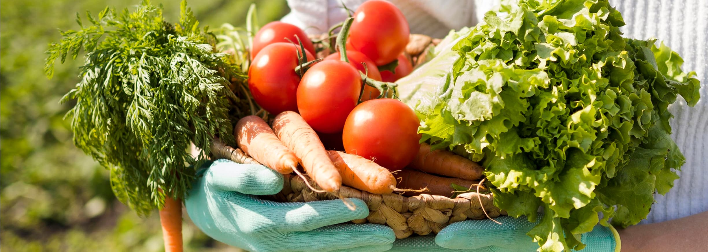 Поставщикам