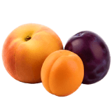 Косточковые