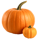 Бахча, тыква