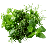 Зелень, листовые овощи