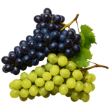 Виноград